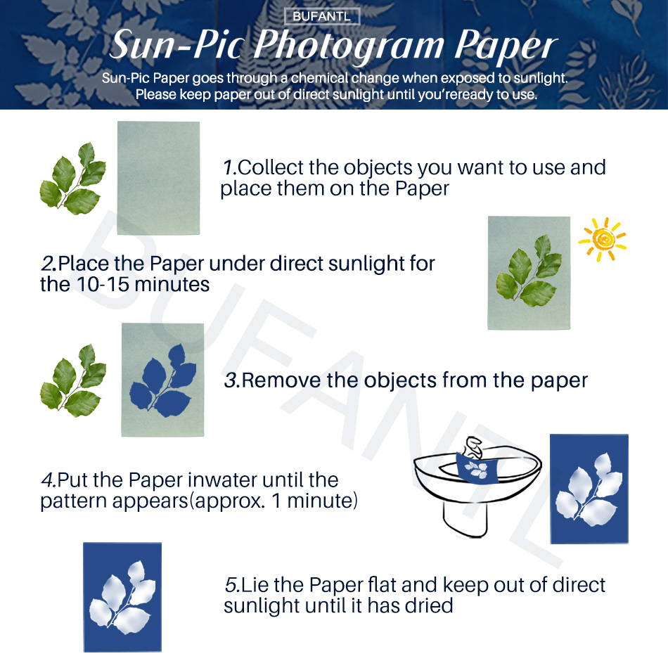 Cyanotype Paper 12 Sheets Refi - Photography Lighting For Beginners review and price